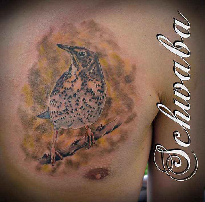Brust Tattoo Vogel in Farbe