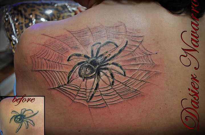 Cover up Spinne im Netz