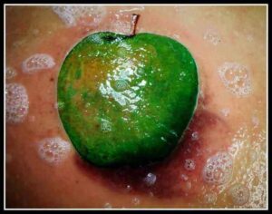 Grüner Apfel 3D Tattoo Idee für den Unterarm