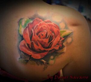 rote Rose