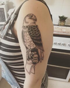 Falke auf Hand