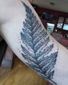 Farn Blatt