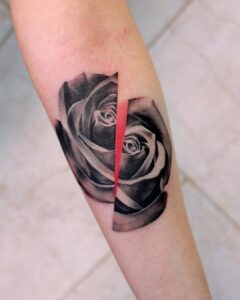 Geteilte Rose