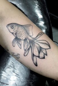 Goldfisch