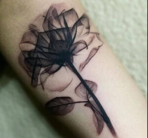 Halbdurchsitige Blume