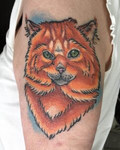 Katze auf dem Oberarm