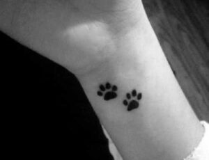 Katzen Tatzen Handgelenk :)