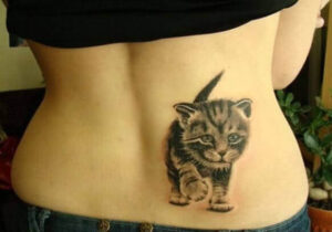Katzenbaby