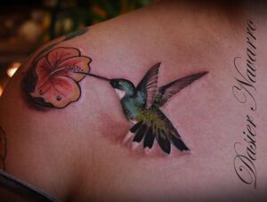 Kolibri mit Hibiskus Blume