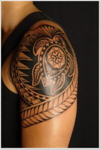 Maori Schildkröte