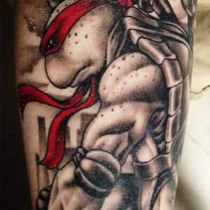 Raphael von den ninja turtles