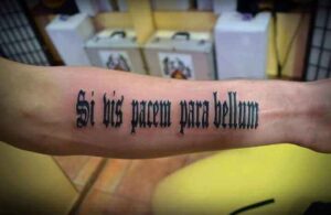 Si vis pacem para bellum