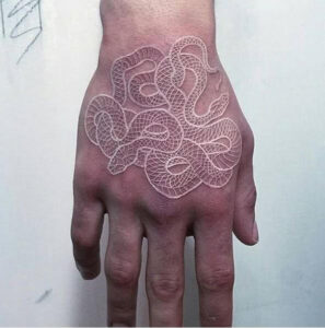 White Line Snake Weisse Linien Schlagne