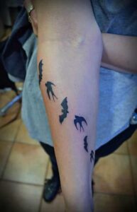 Vögel und Fledermäuse in schwarz
