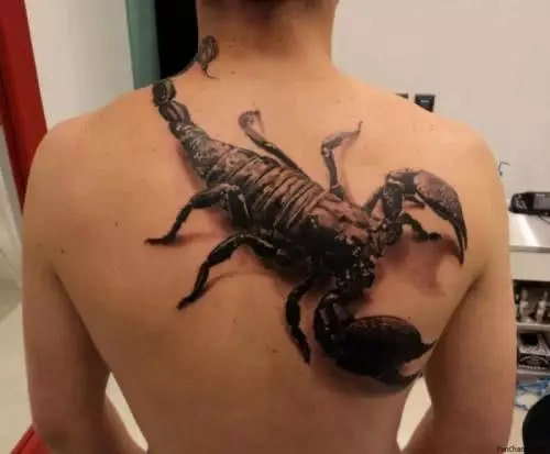 3D Skorpion auf dem Rücken
