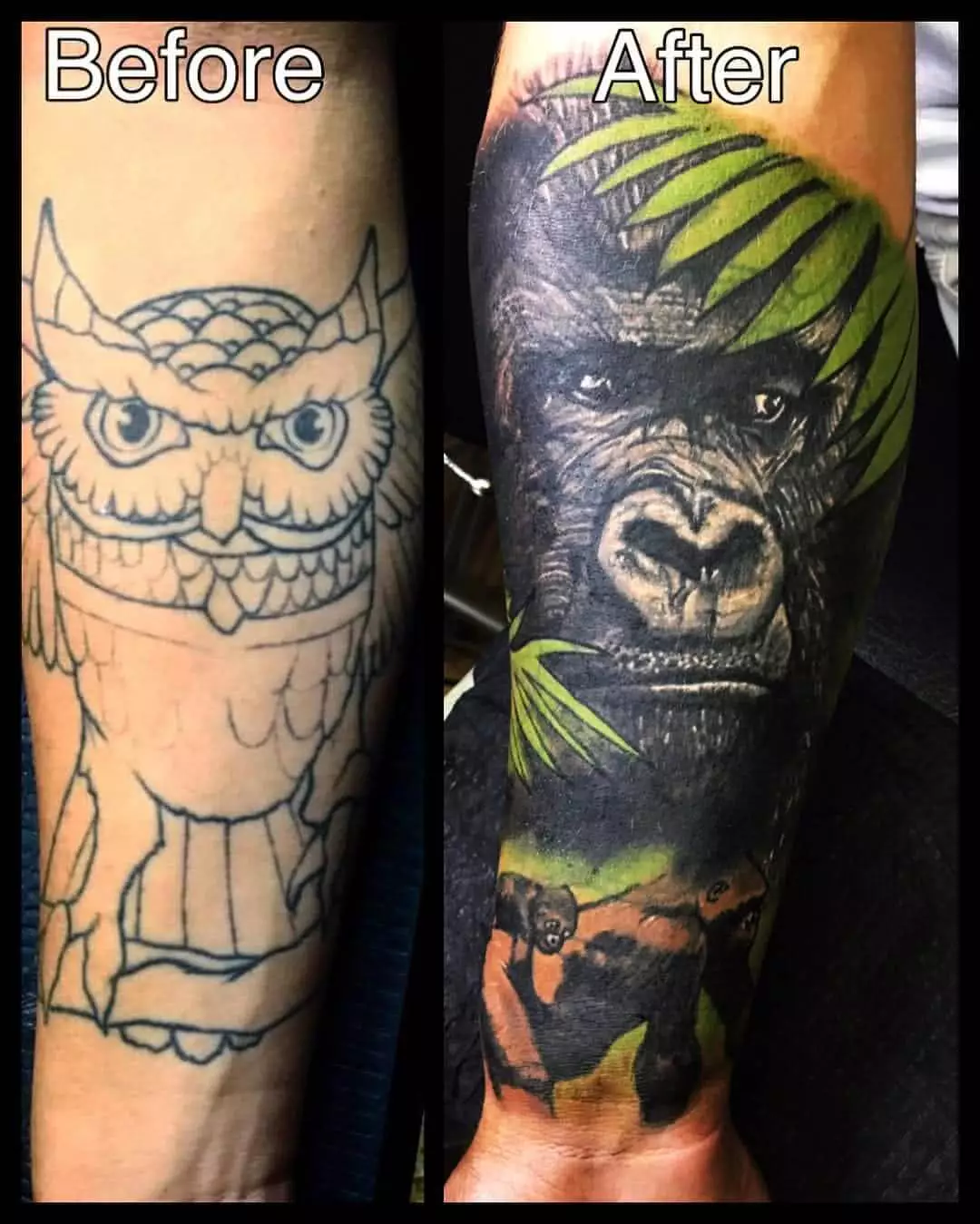 Cover Up Eule Gorilla