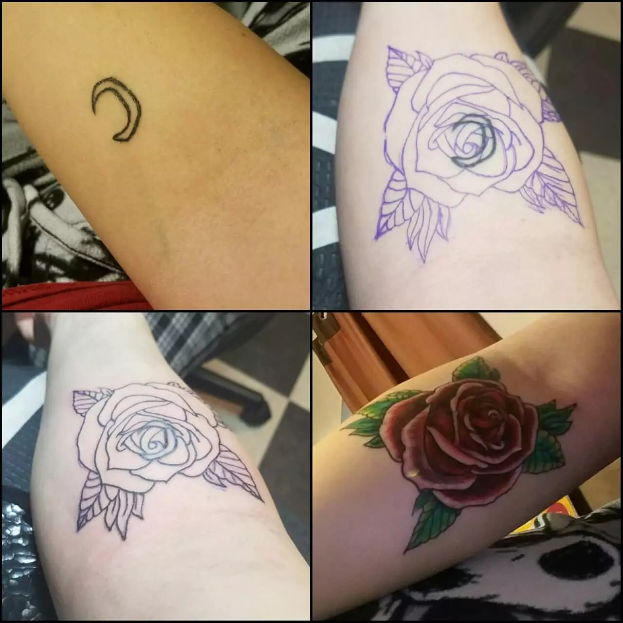 Cover Up Rose