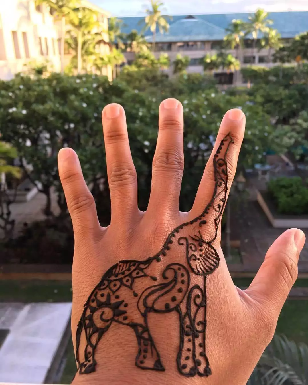 Henna Elefant