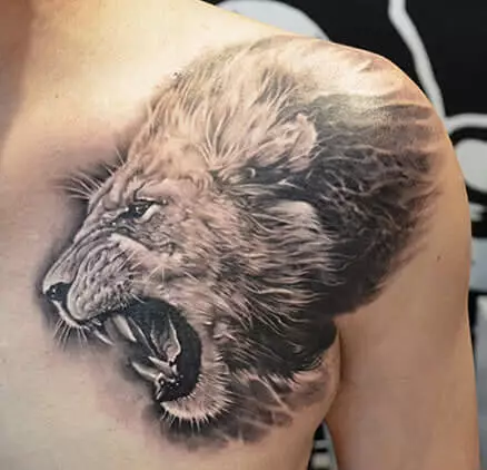 Löwe – Löwenkopf