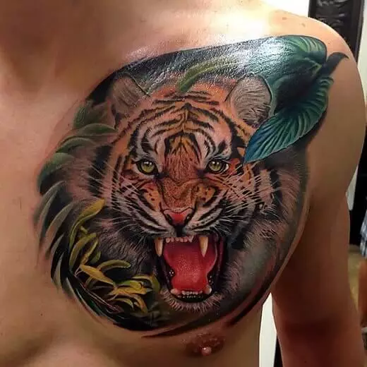 Tiger um Dschungel
