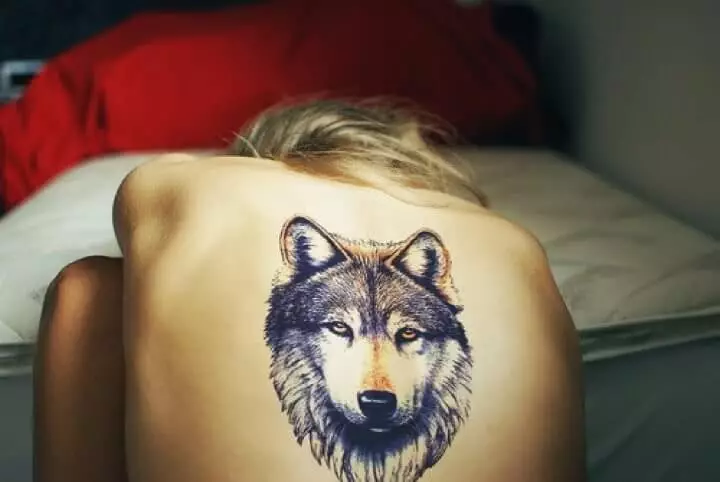 Wolf kopf Rücken